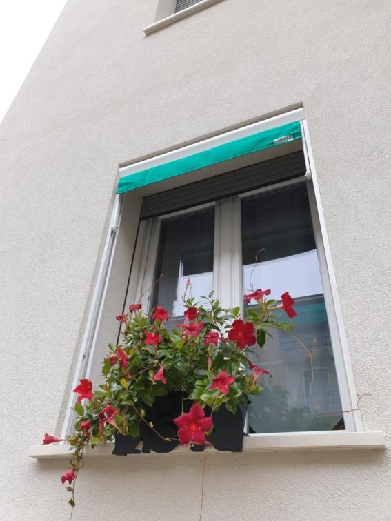 A Casa Di Elsa Appartement Castenaso Buitenkant foto